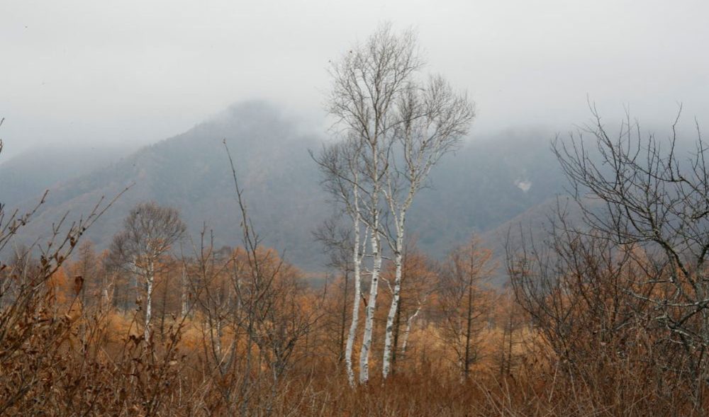 イギリス沖道ヨガー日本語ブログ