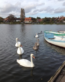 thorpeness meare